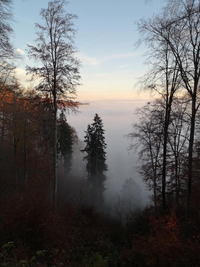 Loft Ueber Dem Bodensee Heiligenborn Zewnętrze zdjęcie
